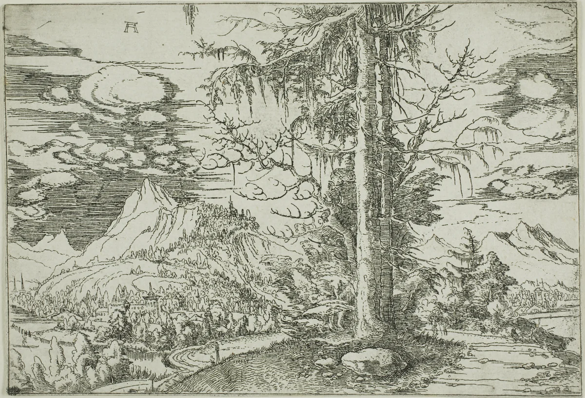 Landscape with A Double Spruce by Albrecht Altdorfer, print, 1515-1520