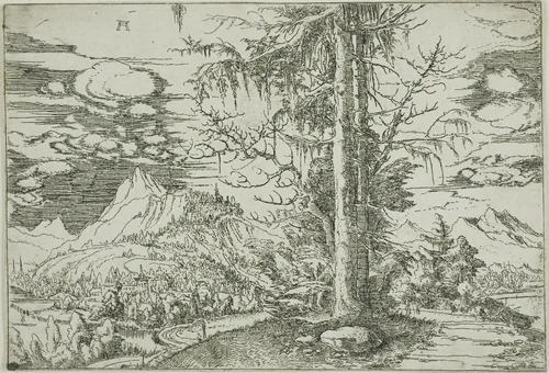 Landscape with A Double Spruce by Albrecht Altdorfer, print, 1515-1520