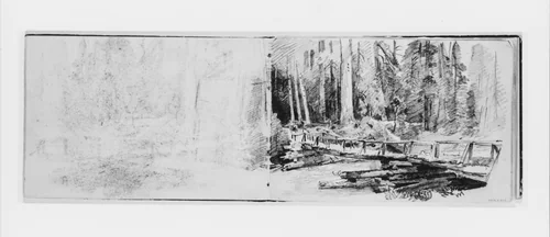 Footbridge in Forest (from Sketchbook X) by William Trost Richards, artwork, 1885