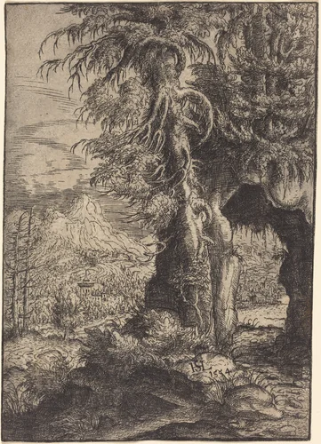 The Gate in the Rocks by Hanns Lautensack, print, 1554