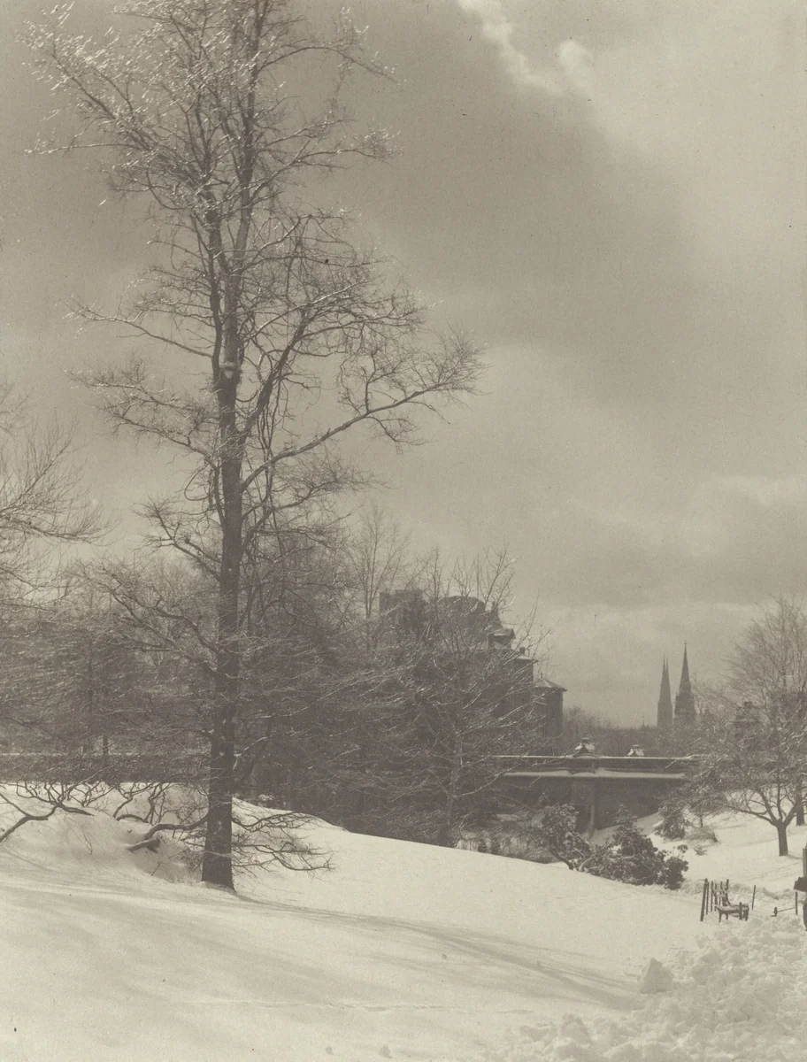 Winter (Central Park) by Alfred Stieglitz, photograph, 1894