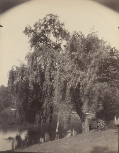 Saules by Eugène Atget, photograph, 1923