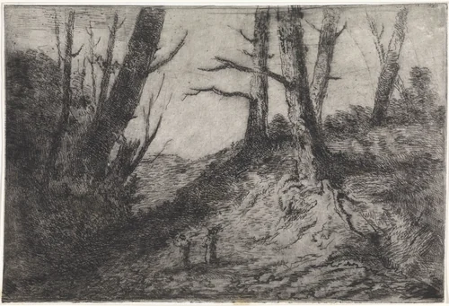 Wandelaars op een pad omgeven door kale bomen by Arnoud Schaepkens, print, 1855-1904