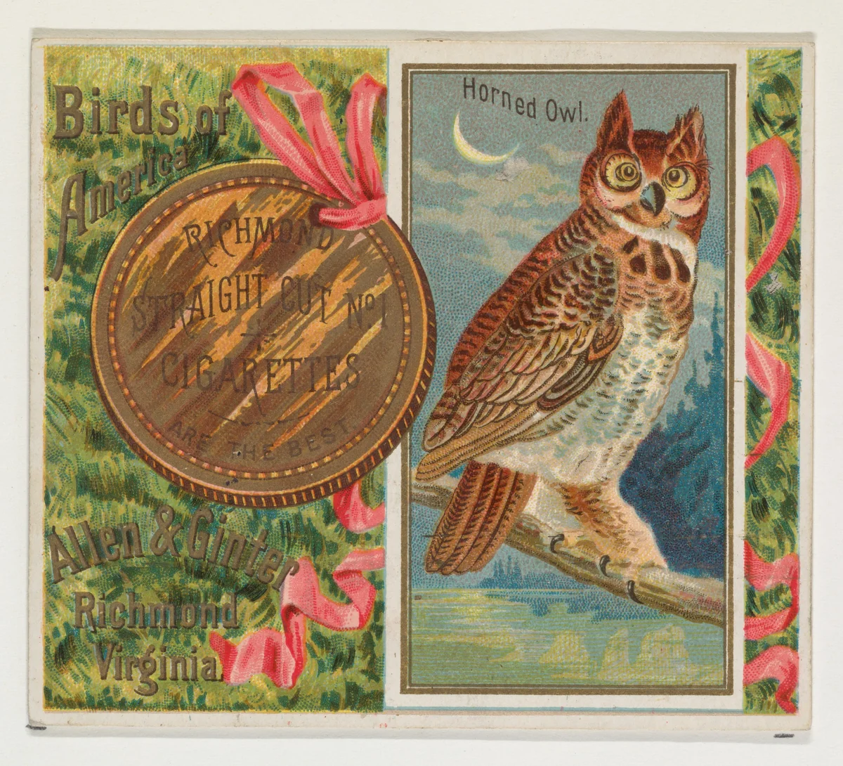 Horned Owl, from the Birds of America series (N37) for Allen & Ginter Cigarettes by Allen & Ginter, print, 1888