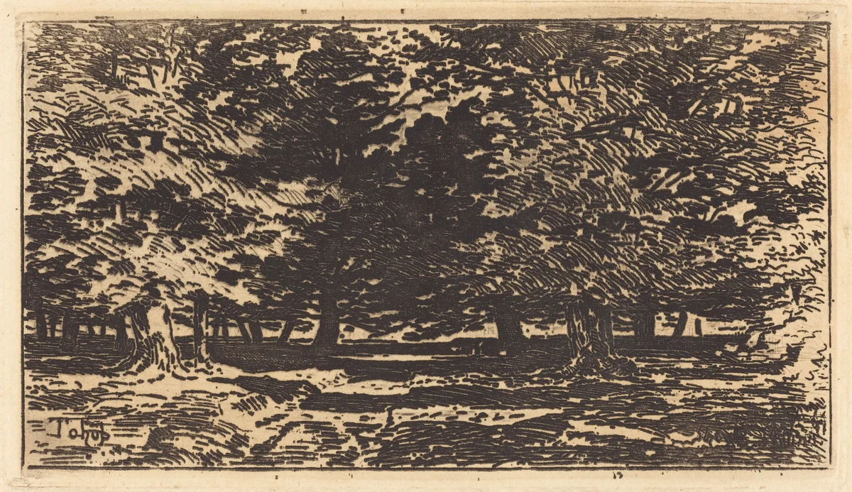 Forêt by Félix-Hilaire Buhot, print, 1847-1898