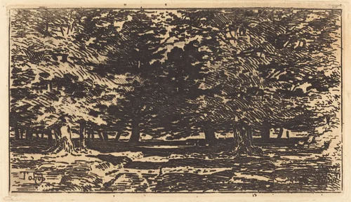 Forêt by Félix-Hilaire Buhot, print, 1847-1898