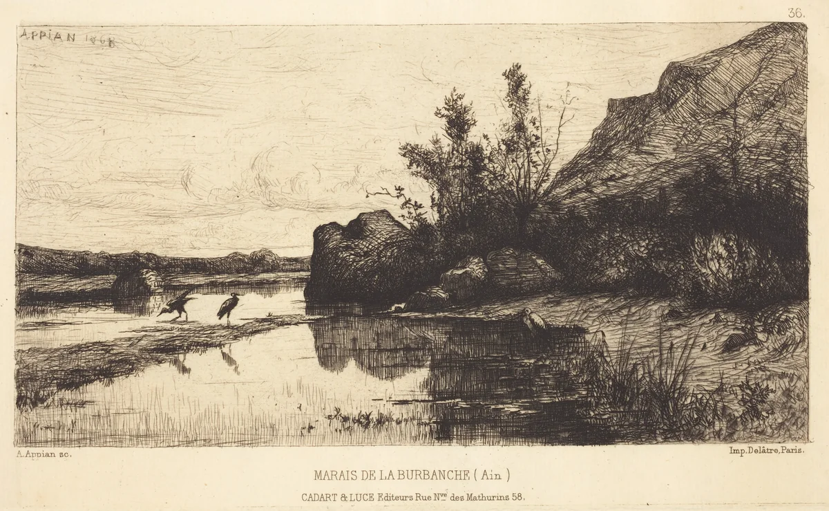 Marais de la Burbanche by Adolphe Appian, print, 1818-1898