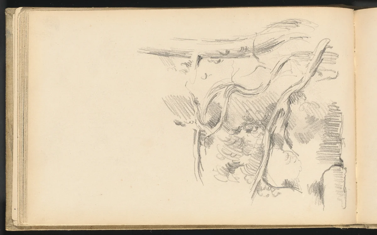 Pine Tree by Paul Cezanne, drawing, 1882-1885