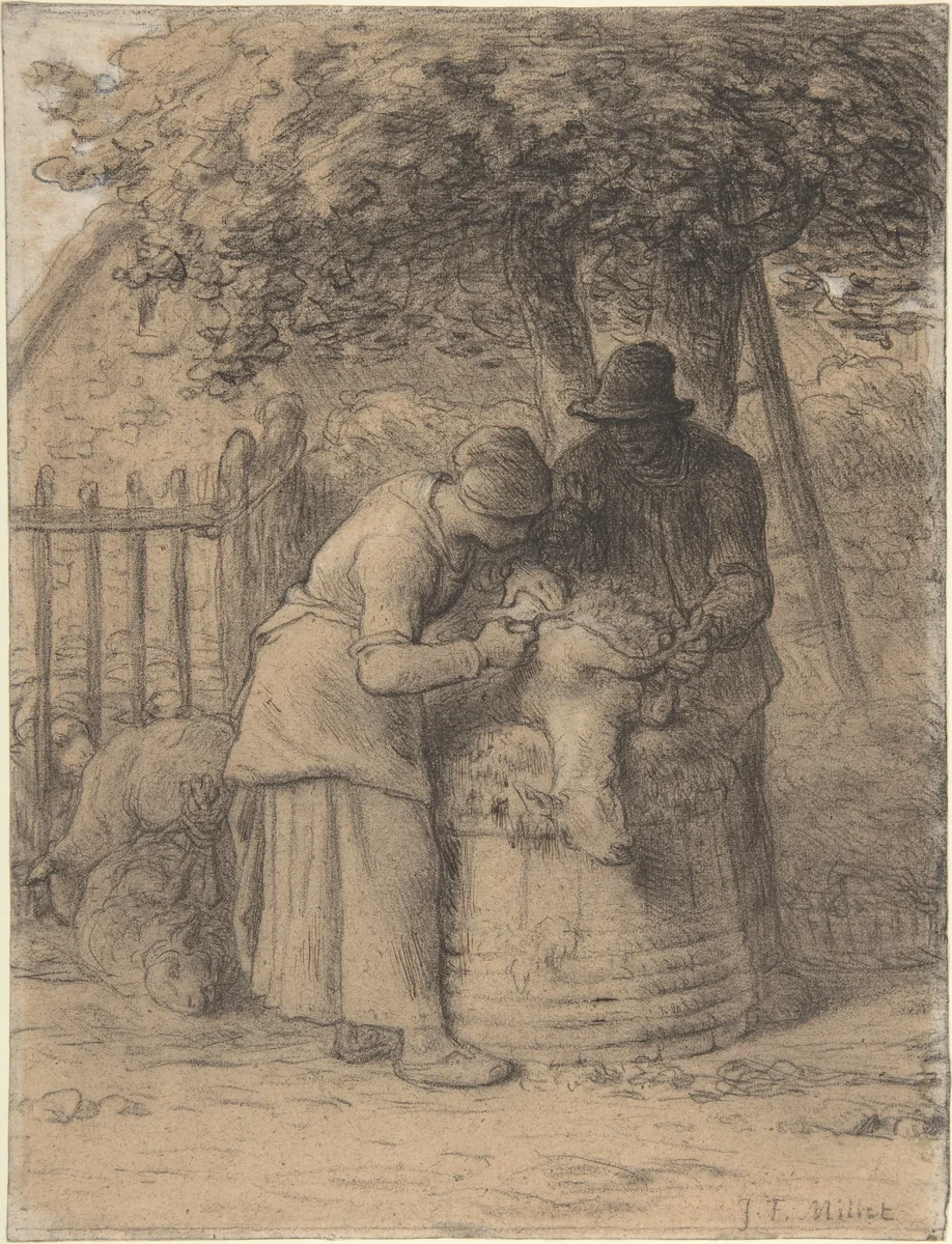 Sheepshearing Beneath a Tree by Jean-François Millet, drawing, 1849-1859