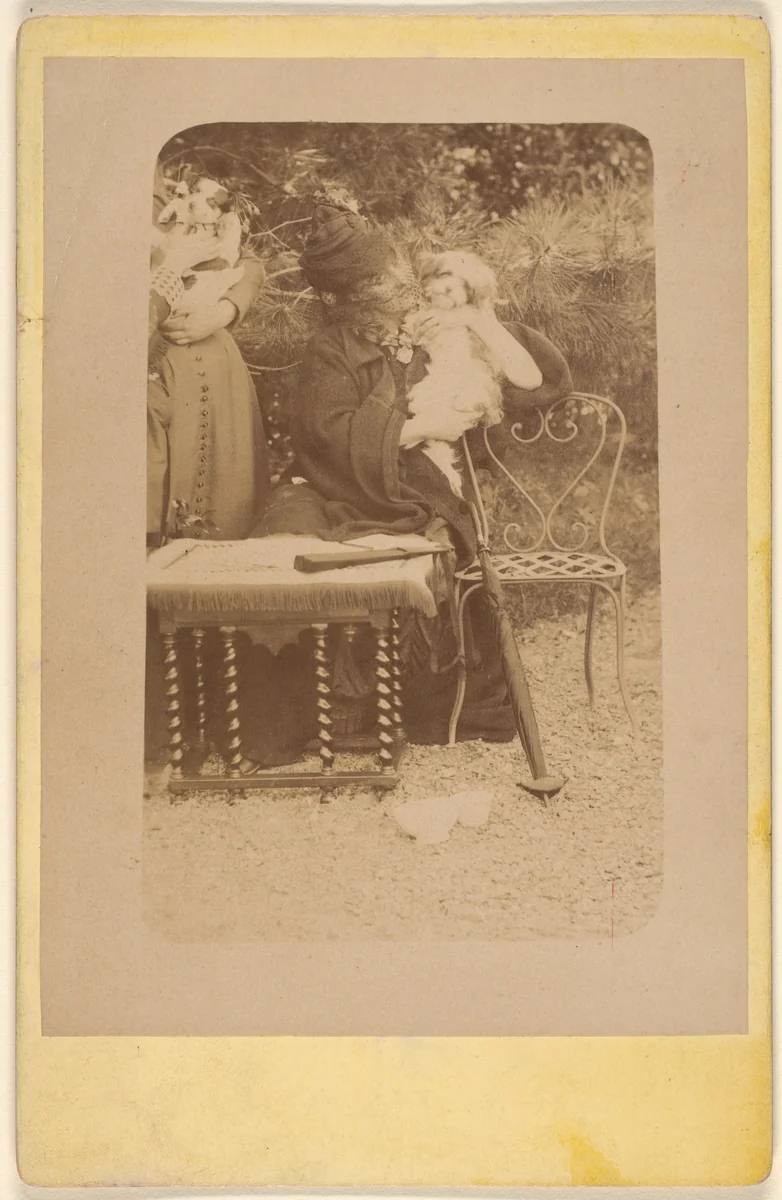 Les Chiens by Pierre-Louis Pierson, photograph, 1860-1869