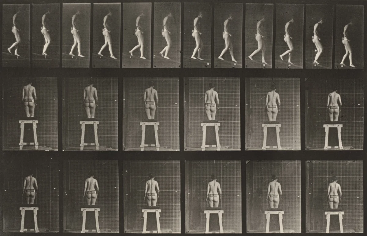 Plate Number 118. Descending an incline by Eadweard Muybridge, photograph, 1887