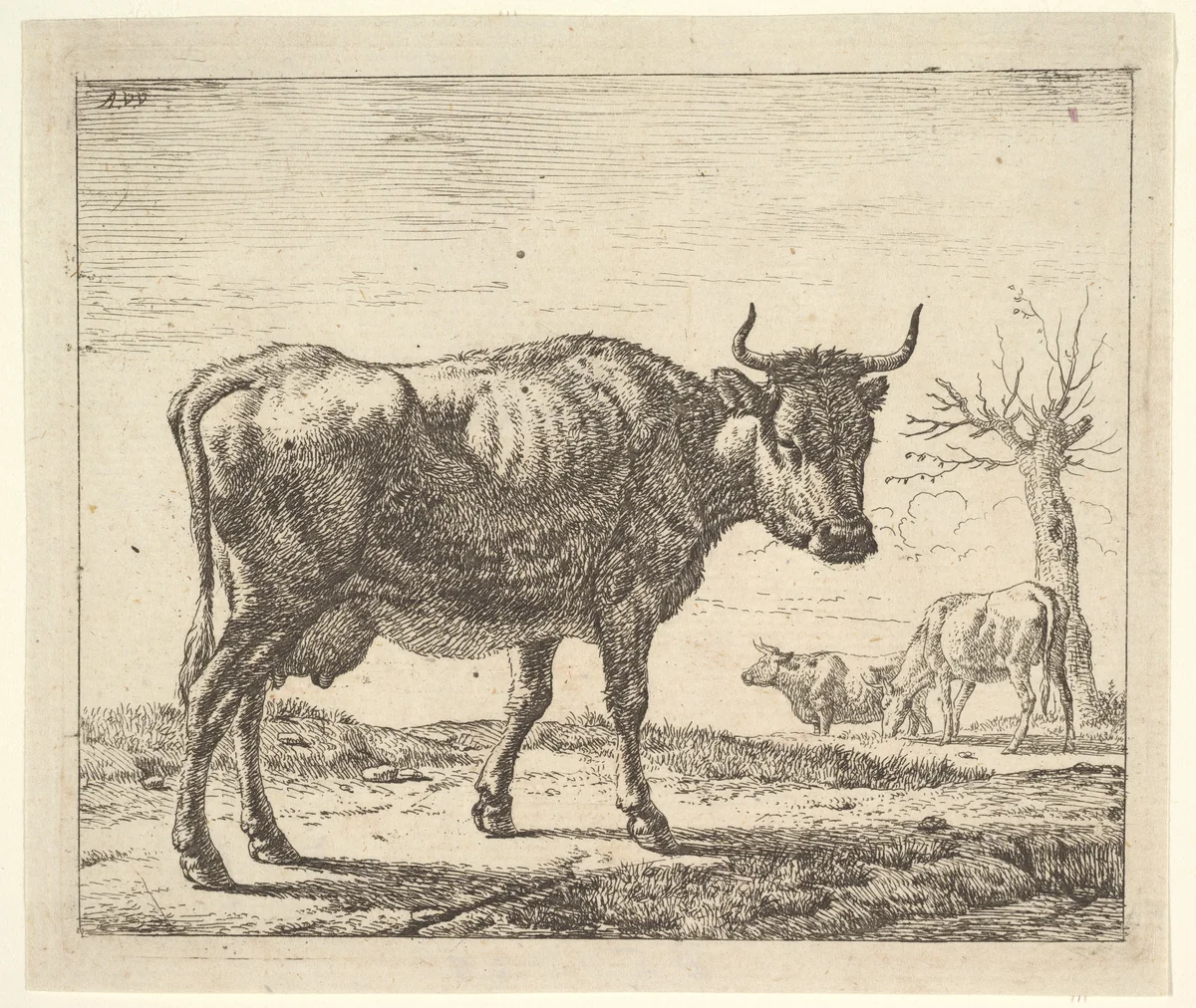 Three Cows, plate 5 from "Different Animals" by Adriaen van de Velde, print, 1650-1672