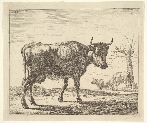 Three Cows, plate 5 from "Different Animals" by Adriaen van de Velde, print, 1650-1672