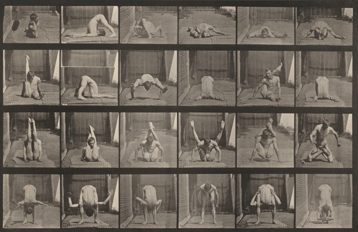 Plate Number 511. Contortions on the ground by Eadweard Muybridge, photograph, 1887