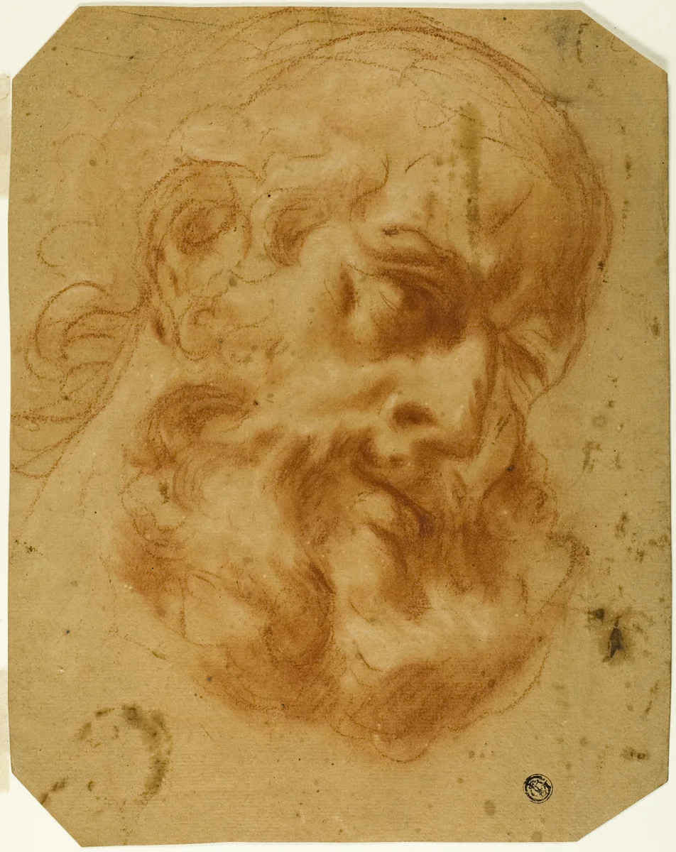 Bearded Head by Unknown Artist, drawing, 1600-1699