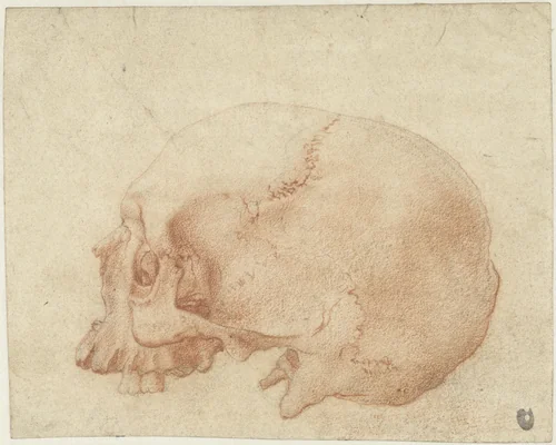 Studie van een schedel by Alessandro Allori, drawing, 1545-1572