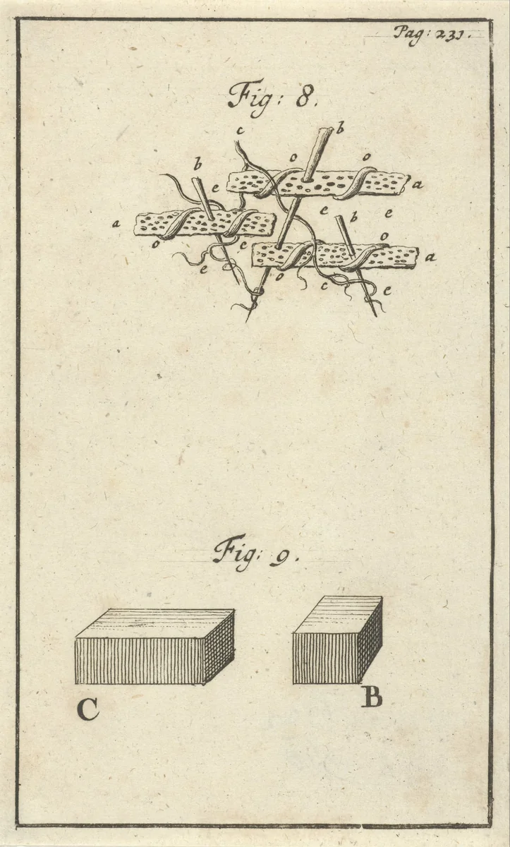 Werking van zuur op het bloed, fig. 8 en 9 by Jan Luyken, print, 1683