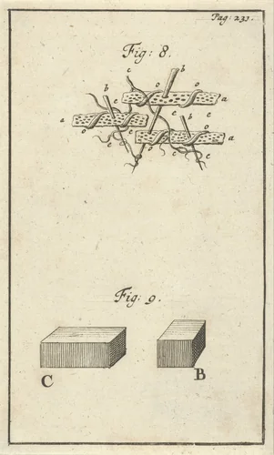 Werking van zuur op het bloed, fig. 8 en 9 by Jan Luyken, print, 1683