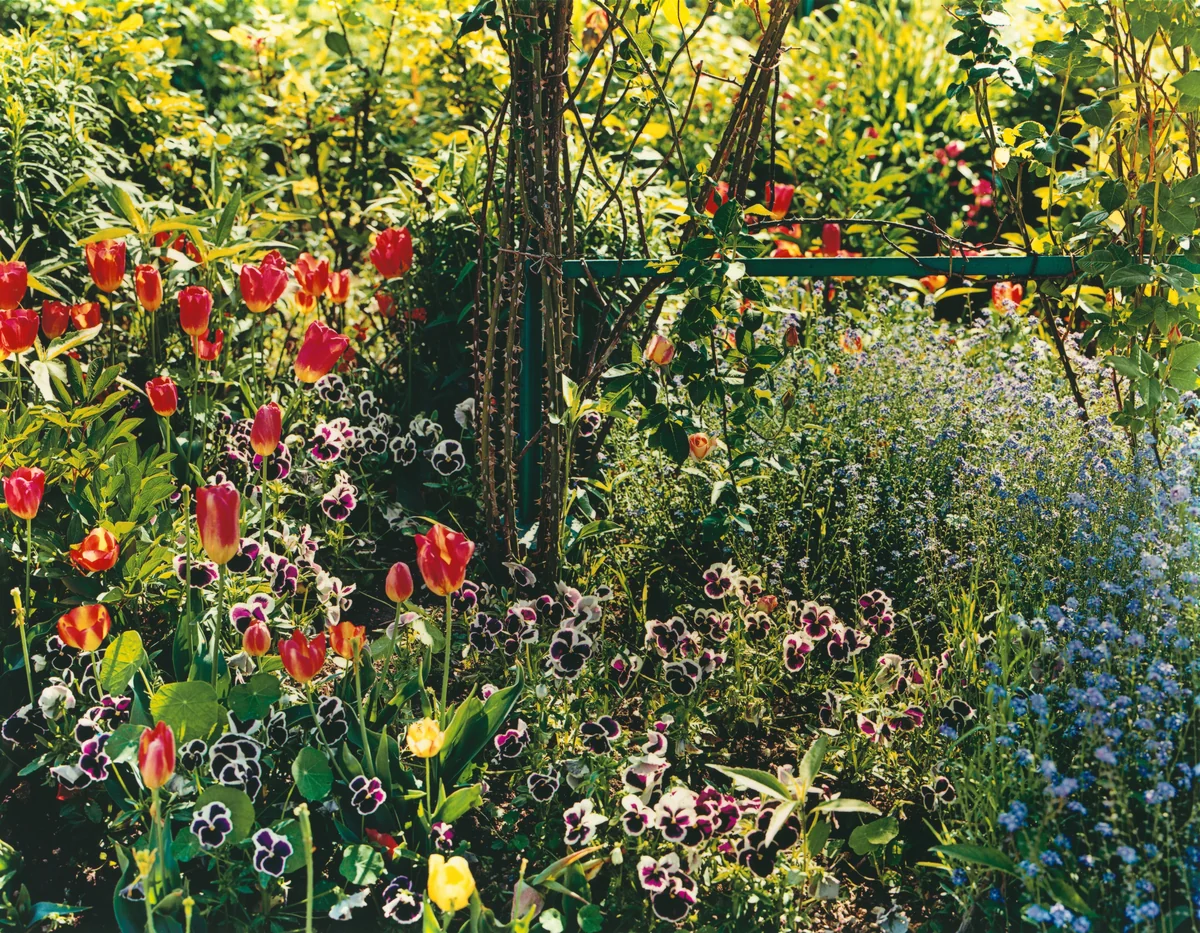Plate II by Stephen Shore, photograph, 1982