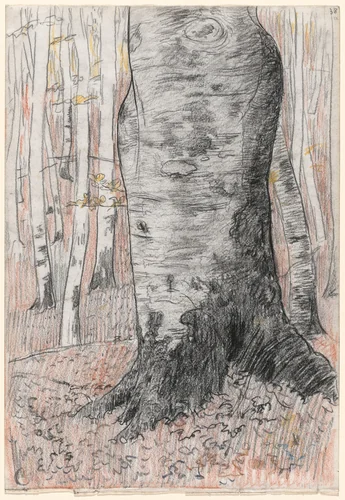 Tree Trunk, Normandy by Georges Lacombe, drawing, 1898