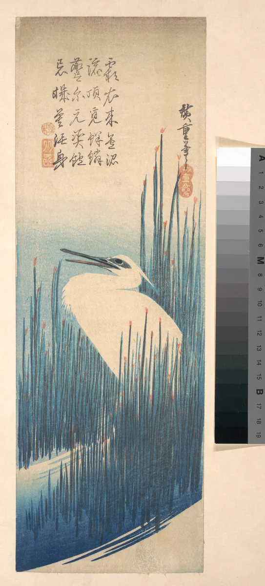 White Heron Standing among Reeds by Utagawa Hiroshige (歌川広重), print, 1825-1845