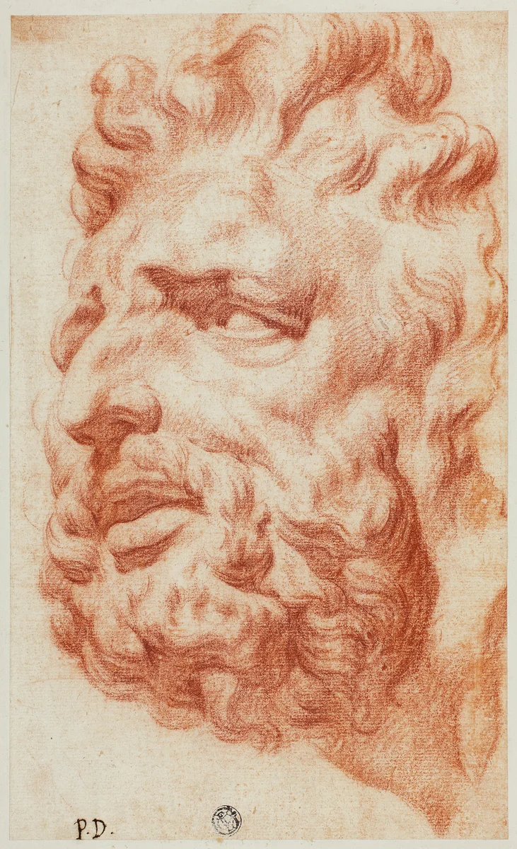 Head of Laocoon by Pietro Dandini, drawing, 1666-1712