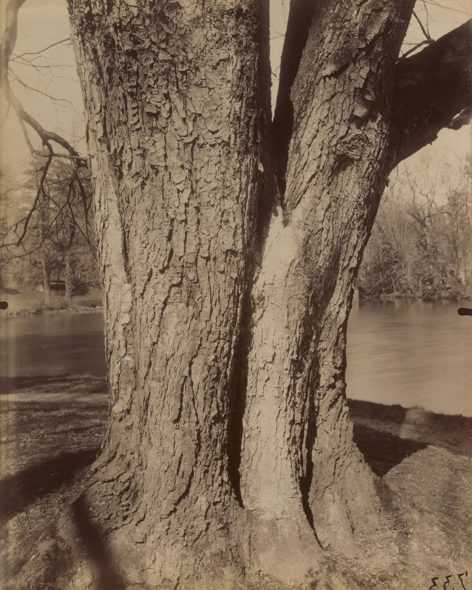 Petit Trianon by Eugène Atget, photograph, 1910