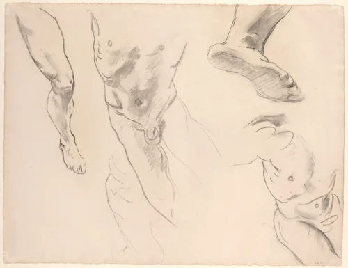 Figure Studies of a Nude Youth by John Singer Sargent, drawing, 1856-1925
