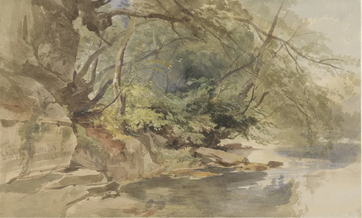 Gezicht in Stapleton Wood, bij Bristol by William James Muller, drawing, 1843