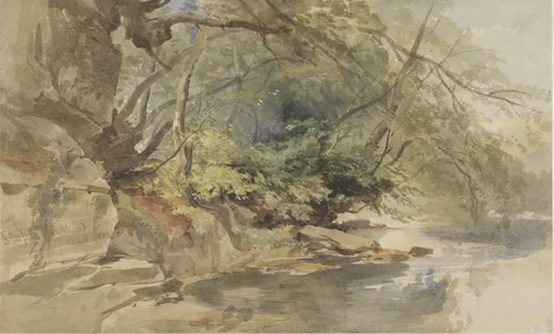 Gezicht in Stapleton Wood, bij Bristol by William James Muller, drawing, 1843