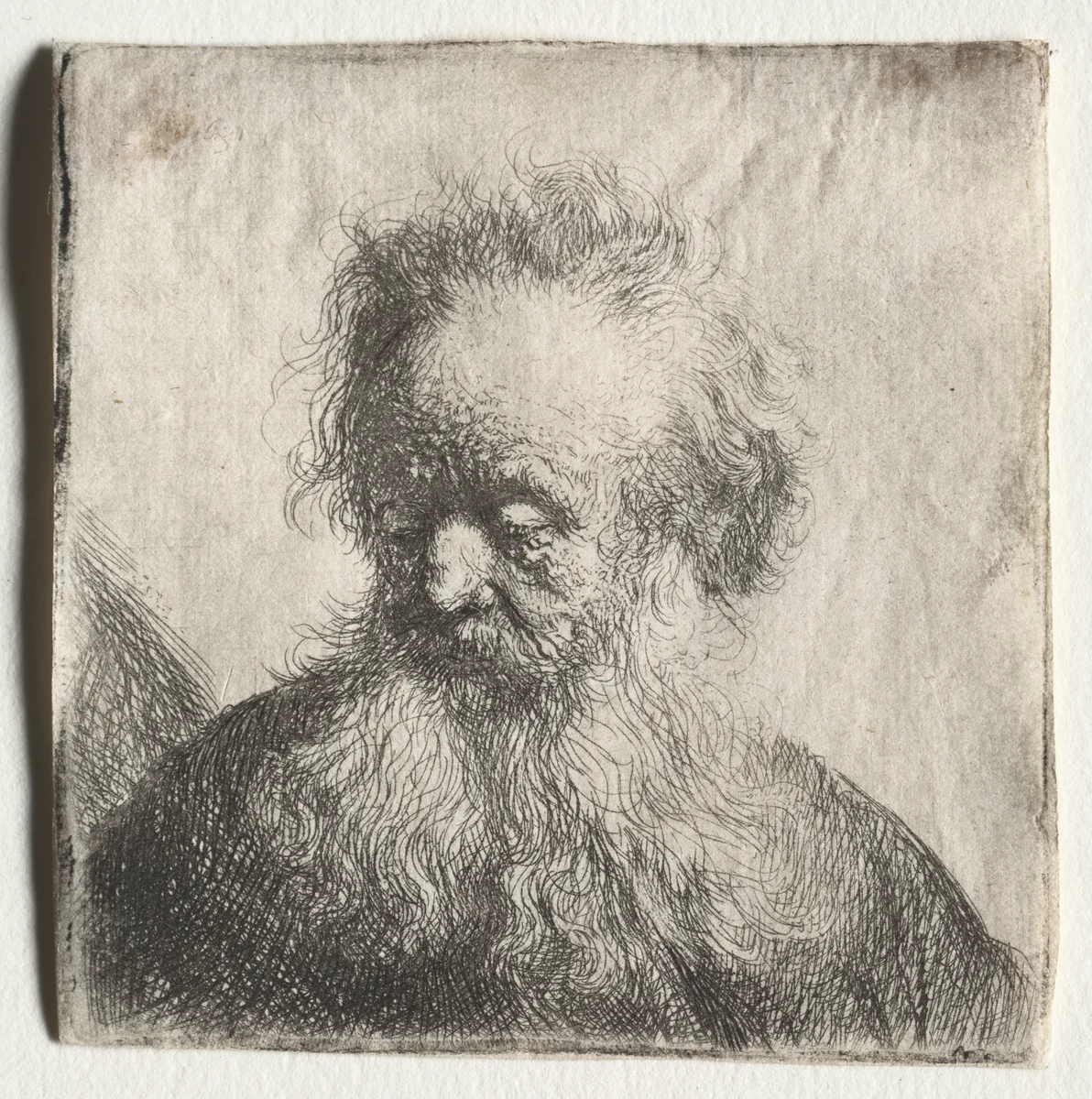Old Man with a Flowing Beard: Bust by Rembrandt van Rijn, print, 1631