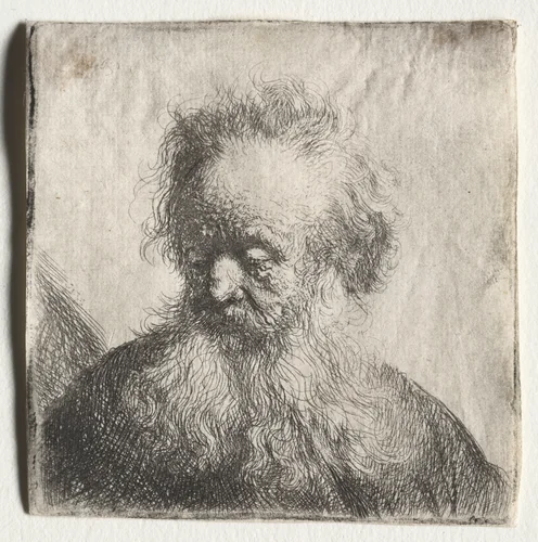 Old Man with a Flowing Beard: Bust by Rembrandt van Rijn, print, 1631
