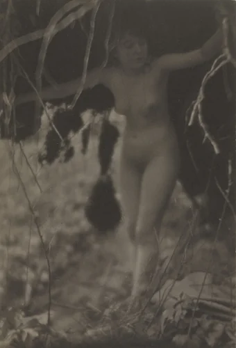 Nude by Clarence H. White, photograph, 1908