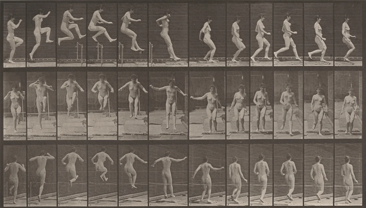Plate Number 155. Jumping, running straight high jump by Eadweard Muybridge, photograph, 1887