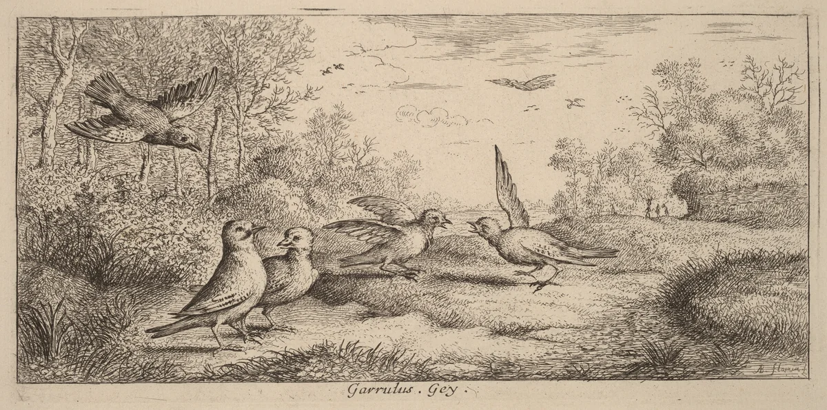 Garrulus, The Jay by Albert Flamen, print, 1620-1669