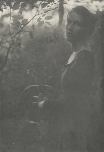 Edge of the Woods by Clarence H. White, photograph, 1901