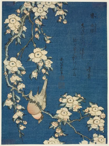 Bullfinch and Weeping Cherry (Uso, shidarezakura), from an untitled series of flowers and birds by Katsushika Hokusai (葛飾 北斎), print, 1829-1839
