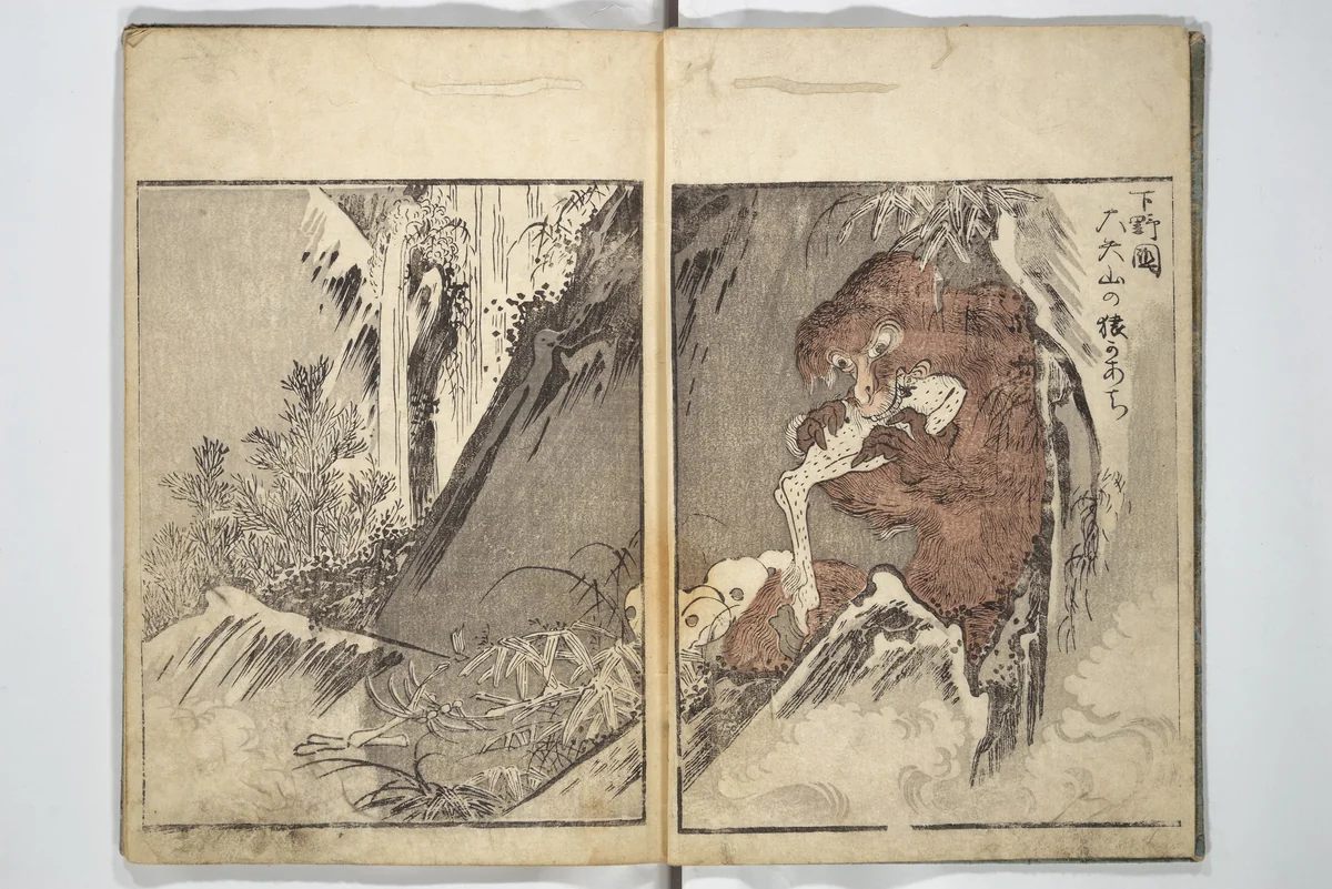 Once Upon a Time (A Book of Ghost Stories) (Imawa mukashi) 怪談百鬼図会 by Katsukawa Shun'ei (勝川春英), book, 1790