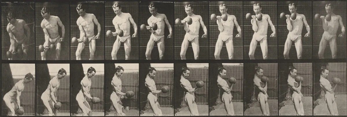 Plate Number 324. Curling a 50-lb. dumbbell by Eadweard Muybridge, photograph, 1887