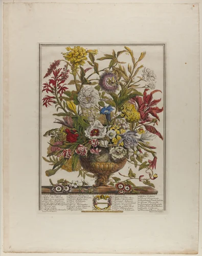 September, from Twelve Months of Flowers by Henry Fletcher
Peter Casteels III, print, 1730-1750