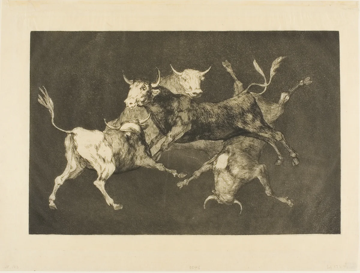 Fool’s Folly, from Disparates by Francisco José de Goya y Lucientes, print, 1816-1819
