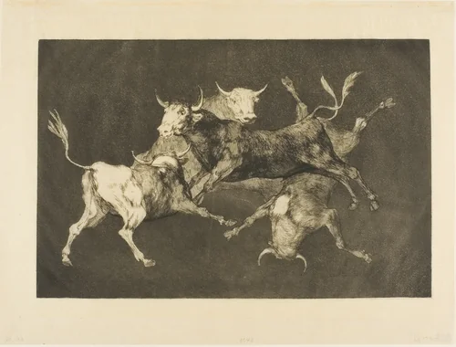 Fool’s Folly, from Disparates by Francisco José de Goya y Lucientes, print, 1816-1819