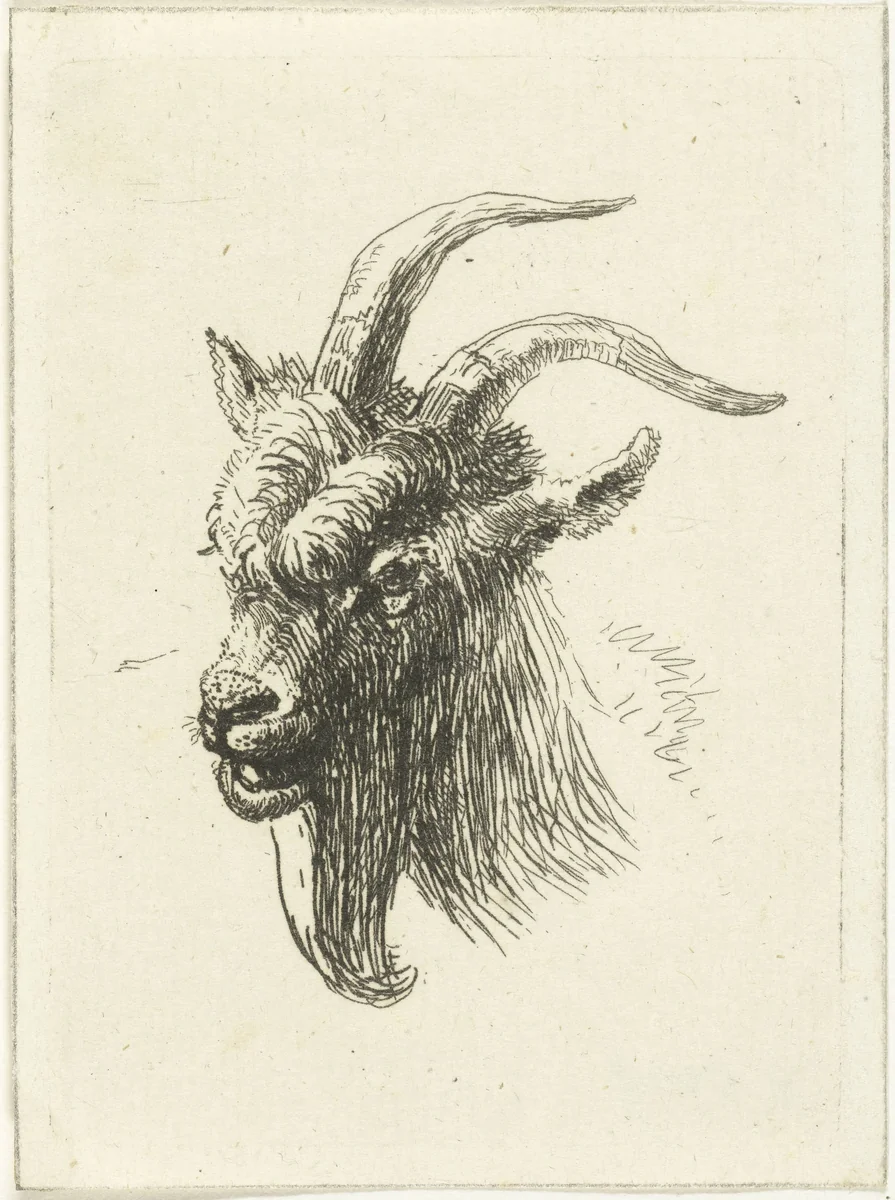 Kop van bok by Jan Dasveldt, print, 1780-1855