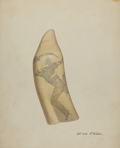 Scrimshaw by Paul Ward, index of american design, 1937