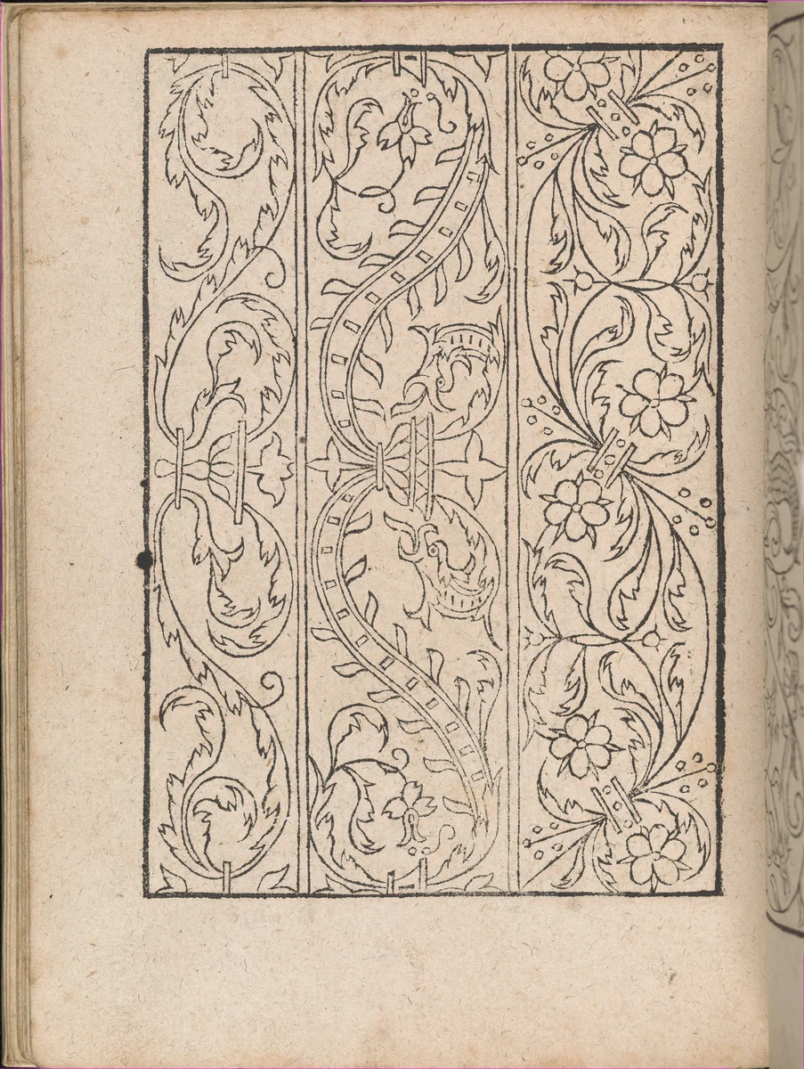 New Modelbüch allen Nägerin u. Sydenstickern (Page 19v) by Hans Hoffman, book, 1556