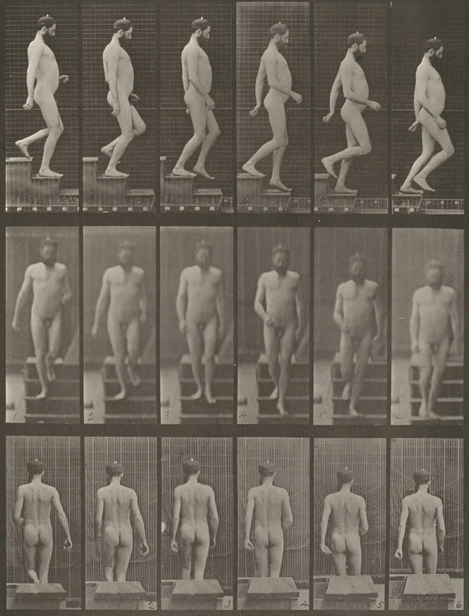Plate Number 127. Descending stairs by Eadweard Muybridge, photograph, 1887
