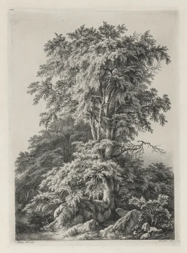 Studies Drawn and Engraved after Nature: The Beach, Fontainebleau (Études dessinées et Gravées D'après nature: Le hêtre, Fontainebleau) by Eugene Bléry, print, 1840