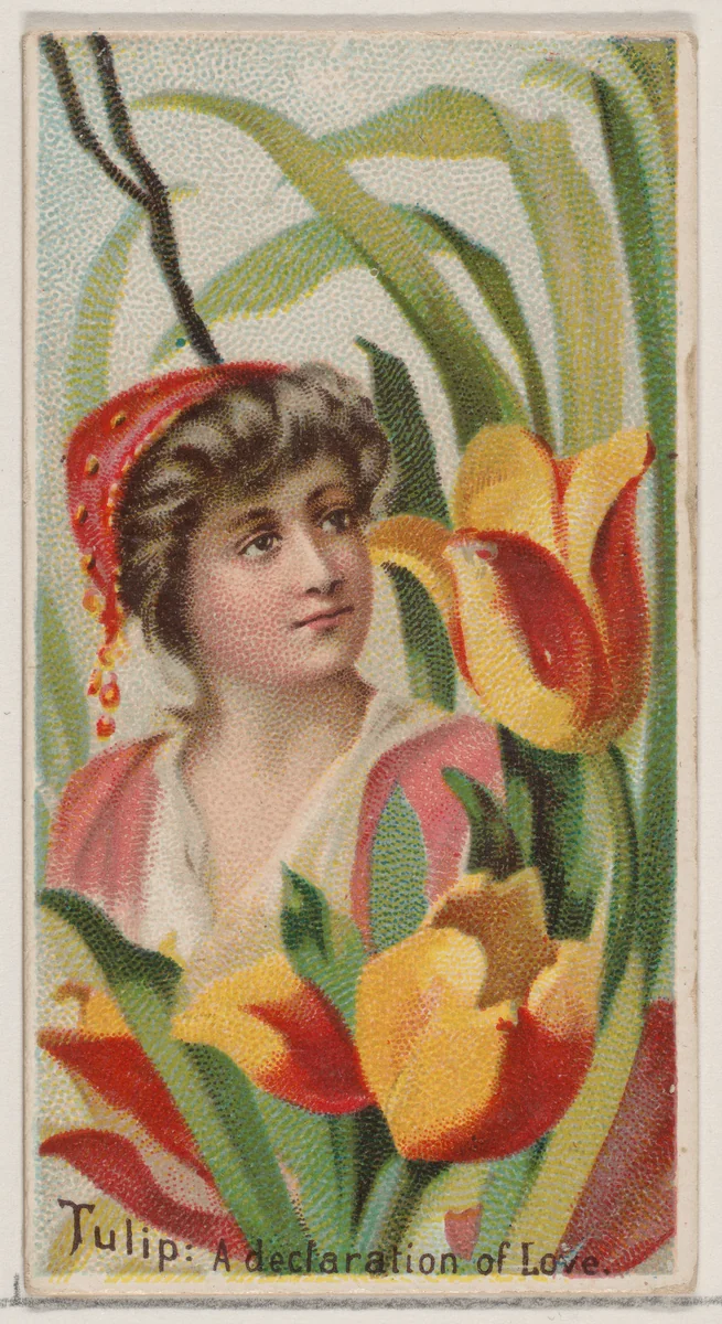 Tulip: A Declaration of Love, from the series Floral Beauties and Language of Flowers (N75) for Duke brand cigarettes by American Tobacco Company, print, 1892