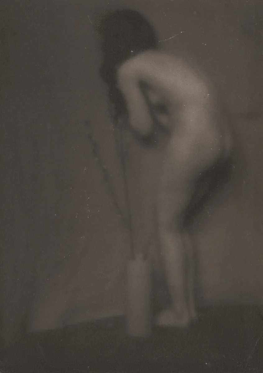 Pussy Willow by Edward Steichen, photograph, 1901