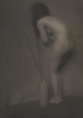 Pussy Willow by Edward Steichen, photograph, 1901